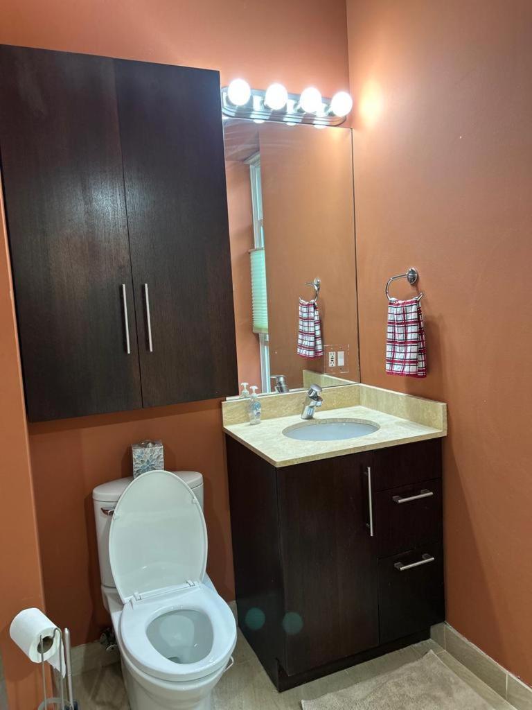 Gorgeous North Kenwood Hyde Park Unit Apartment Chicago Ngoại thất bức ảnh