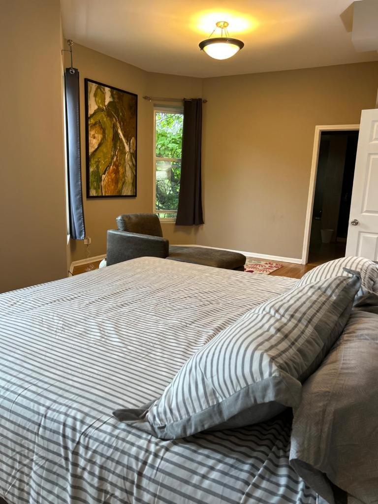 Gorgeous North Kenwood Hyde Park Unit Apartment Chicago Ngoại thất bức ảnh